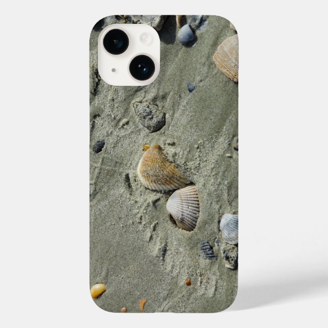 Seasheller och iphone case (Baksida)