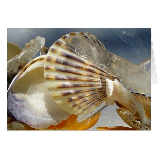 Seasheller och kristaller OBS kort (Framsidan Horizontal)