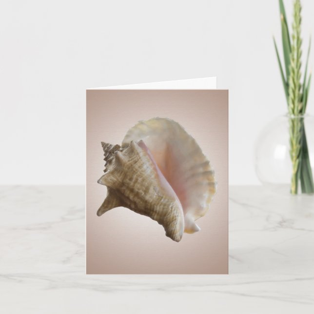 Seashelll noterar kortet kort (Framsida)