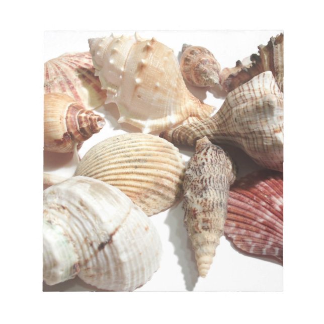 Seashells Anteckningsblock (Framsida)