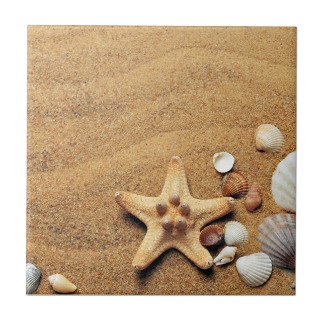 Seashells Beach Kakelplatta (Framsidan)