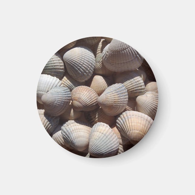 Seashells Beach, Sommar Helgdag Magnet (Framsidan)
