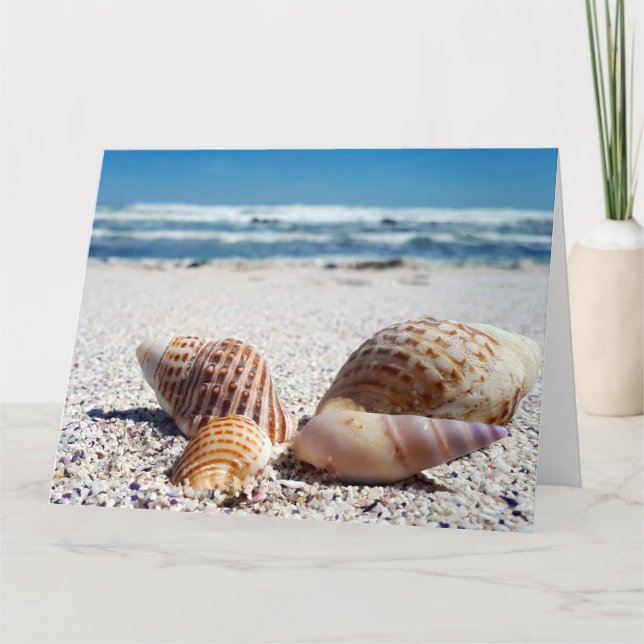 SEASHELLS BEACH TROPICAL BIRTHDAY GREETARD KORT (Framsida)