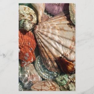 Seashells Brevpapper