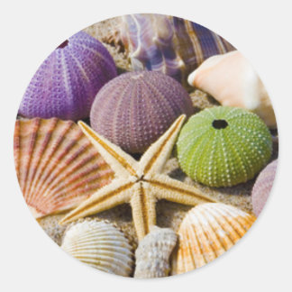 Seashells Bröllop Seal Runt Klistermärke