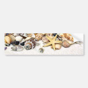 Seashells Bumper Sticker Bildekal