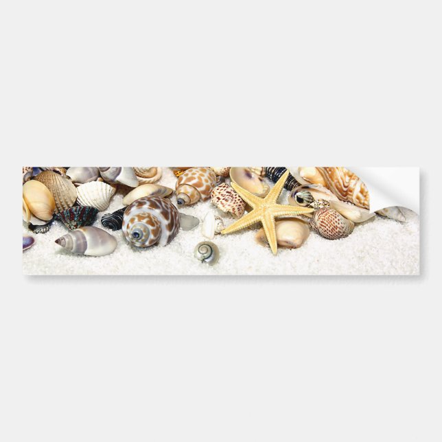 Seashells Bumper Sticker Bildekal (Framsidan)