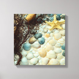Seashells Canvastryck