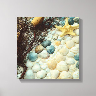 Seashells Canvastryck