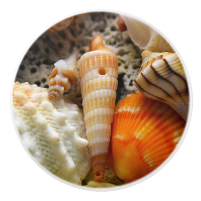 Seashells Ceramic Knob Knopp (Framsidan)