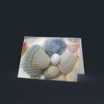 Seashells Christian Friend Birthday Kort<br><div class="desc">Blåsiga seasheller,  kristet födelsedagskort med skript från Proverbs: "En vän kärlek vid alla tidpunkter". Seashell-fotografi på framsidan och anpassningsbarna inuti. Perfekt för en sommarfödelsedag hälsning för en bästa vän.</div>