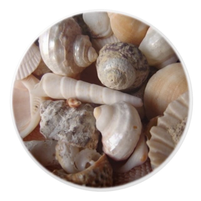 Seashells, Clam-Snäckor, Cockle-Snäckor, Scallops Knopp (Framsidan)