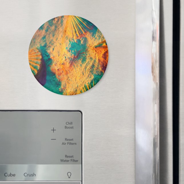 Seashells, Clam-Snäckor, Cockle-Snäckor, Scallops Magnet (In Situ (Fridge))
