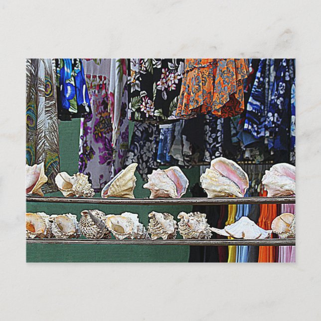 Seashells for Sale Vykort (Framsida)