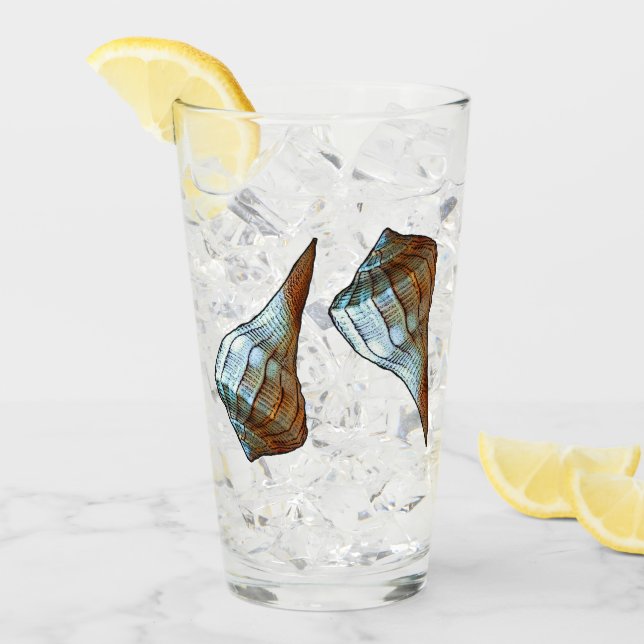 Seashells Glaskopp (Framsida Ice)