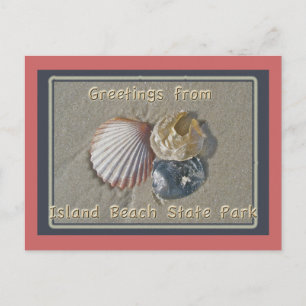 Seashells Hälsning från IBSP Seaside Park NJ Vykort