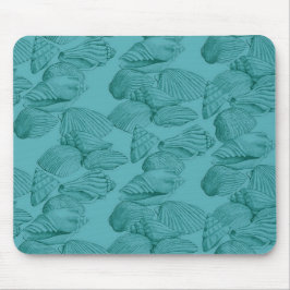 Seashells i Aqua Musmatta