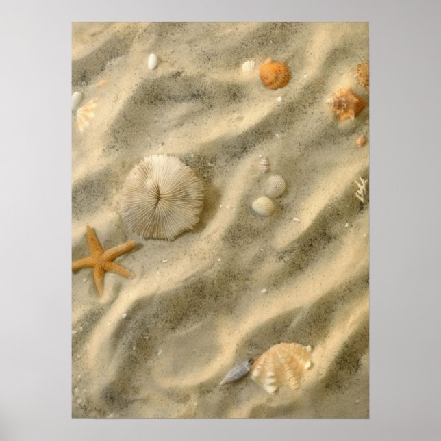 Seashells i Sand Poster (Framsidan)