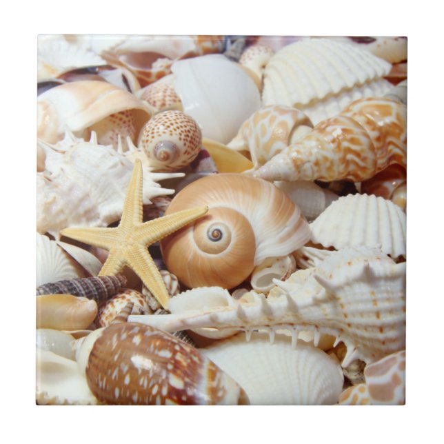 Seashells Kakelplatta (Framsidan)