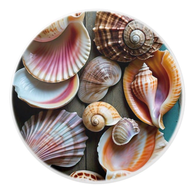 Seashells. Knopp (Framsidan)