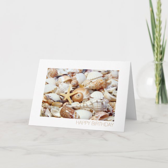 Seashells Kort (Framsida)