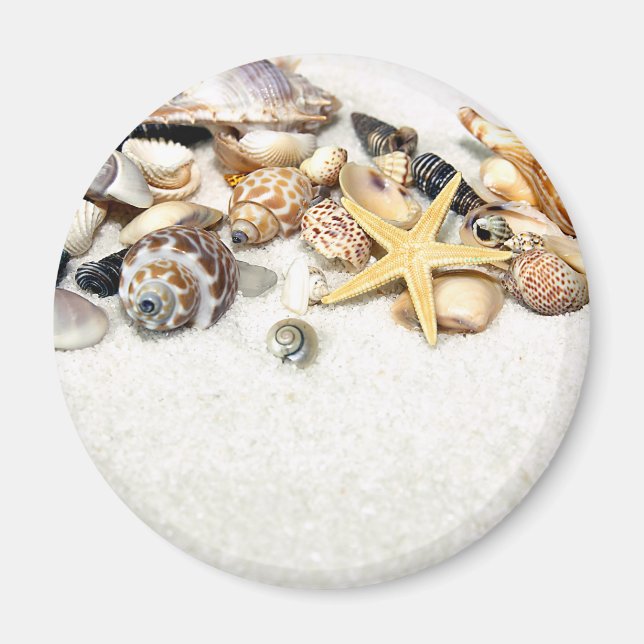 Seashells Magnet (Framsidan)