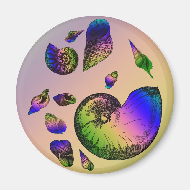 Seashells Magnet (Framsidan)