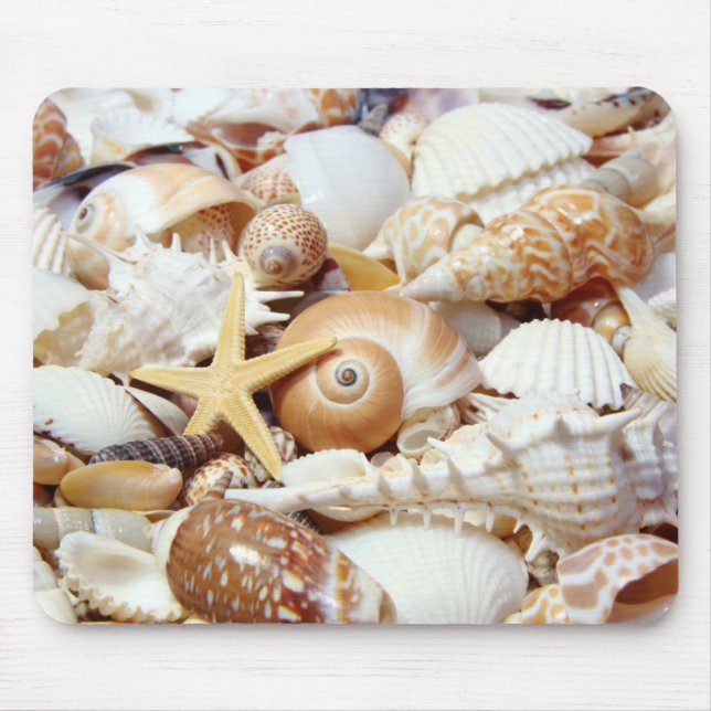 Seashells Musmatta (Framsidan)