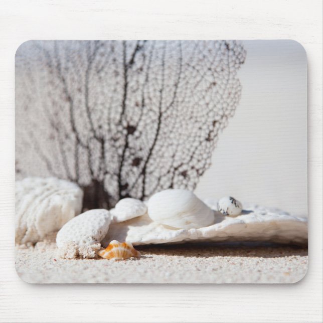 Seashells Musmatta (Framsidan)