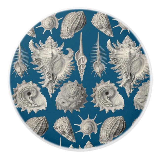 Seashells Nautical Beach Snäcka Blue White Knopp (Framsidan)