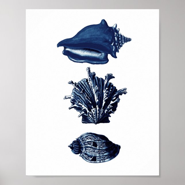 Seashells Navy Blue Decor Poster (Framsidan)