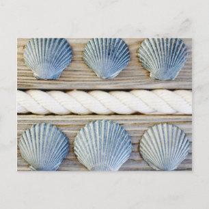Seashells New York City Vykort