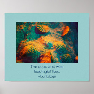 Seashells och Sand Poster