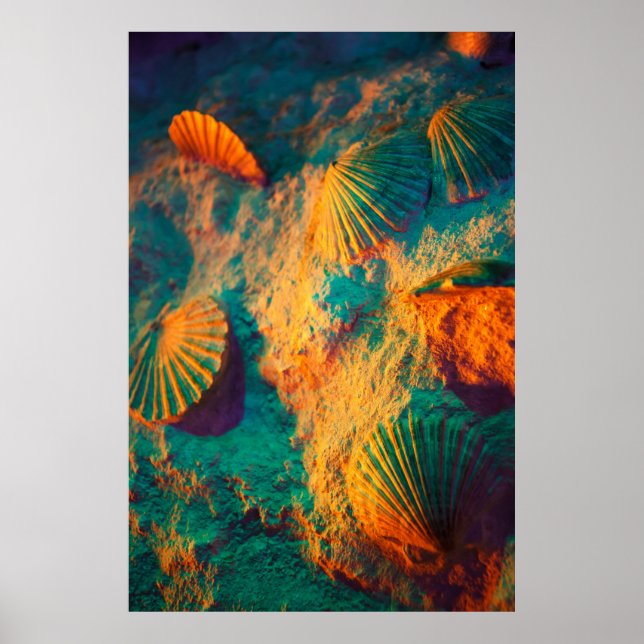 Seashells och Sand Poster (Framsidan)