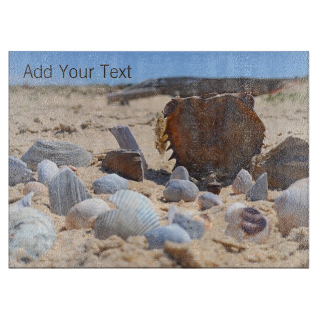 Seashells på Beach av Shirley Taylor (Framsidan)