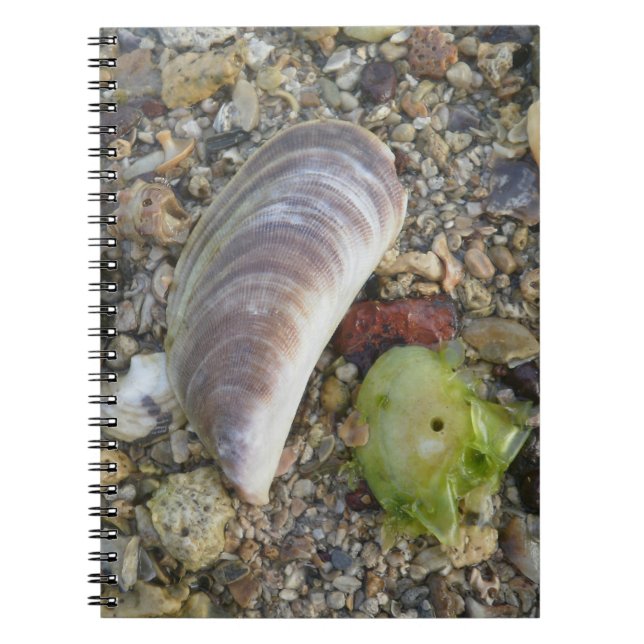 Seashells på en strand anteckningsbok (Framsidan)