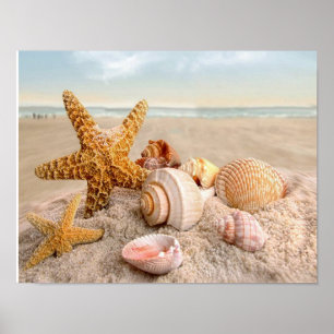 Seashells på en vit sandstrand Poster