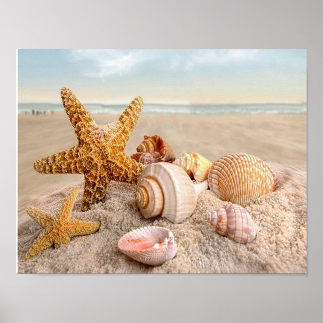 Seashells på en vit sandstrand Poster (Framsidan)