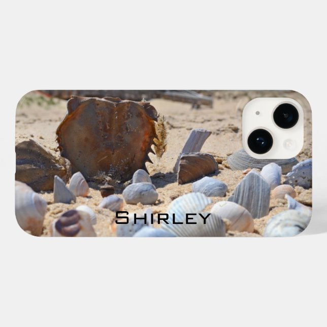 Seashells på stranden av Shirley Taylor (Baksida (horisontell))