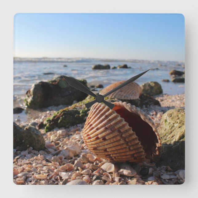 Seashells på stranden i Florida-väggklockan Fyrkantig Klocka (Framsida)