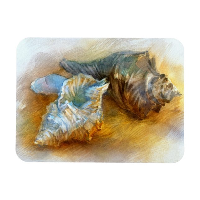 Seashells på stranden magnet (Horisontell)