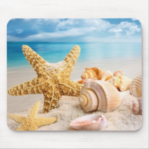 Seashells på stranden musmatta