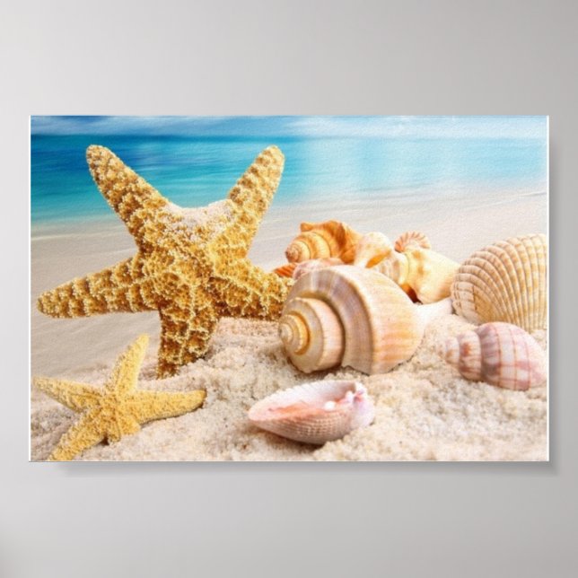 Seashells på stranden poster (Framsidan)