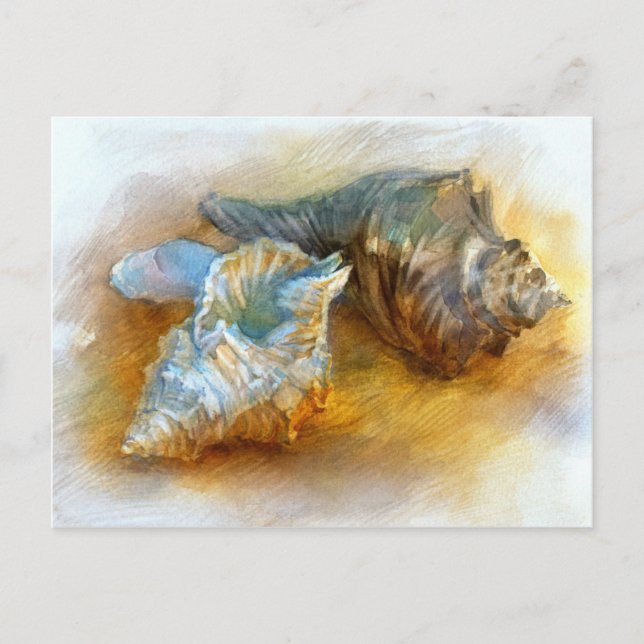 Seashells på stranden vykort (Framsida)