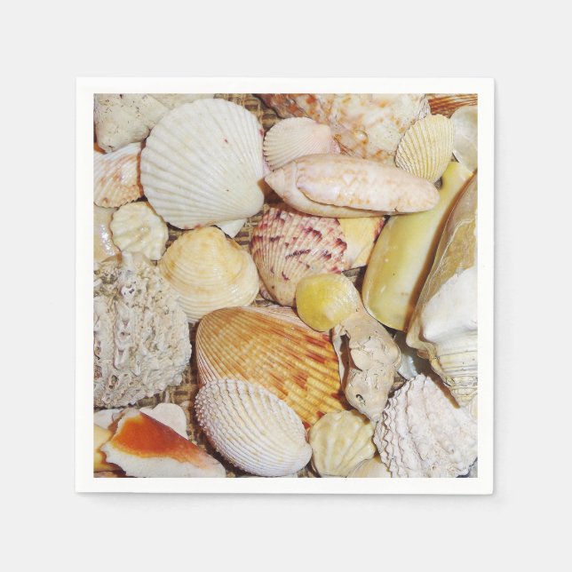 Seashells Pappersservett (Framsidan)