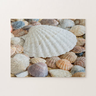 Seashells Photo Puzzle Pussel