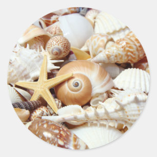 Seashells Runt Klistermärke