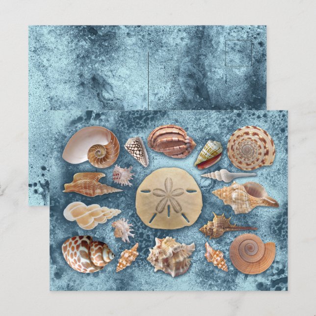 Seashells samling vykort (Fram/baksida)