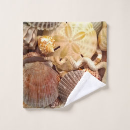 Seashells Sand Dollar Mönster