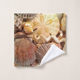 Seashells Sand Dollar Mönster